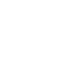 Numismatic Bibliomania Society Member